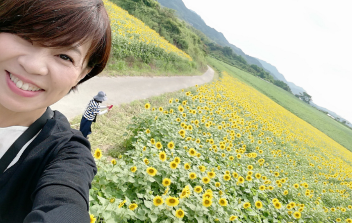 まんのう町 まんのう町中山のひまわり畑の半分満開 見ごたえあり 香川県地域おこし協力隊 さぬきの輪web